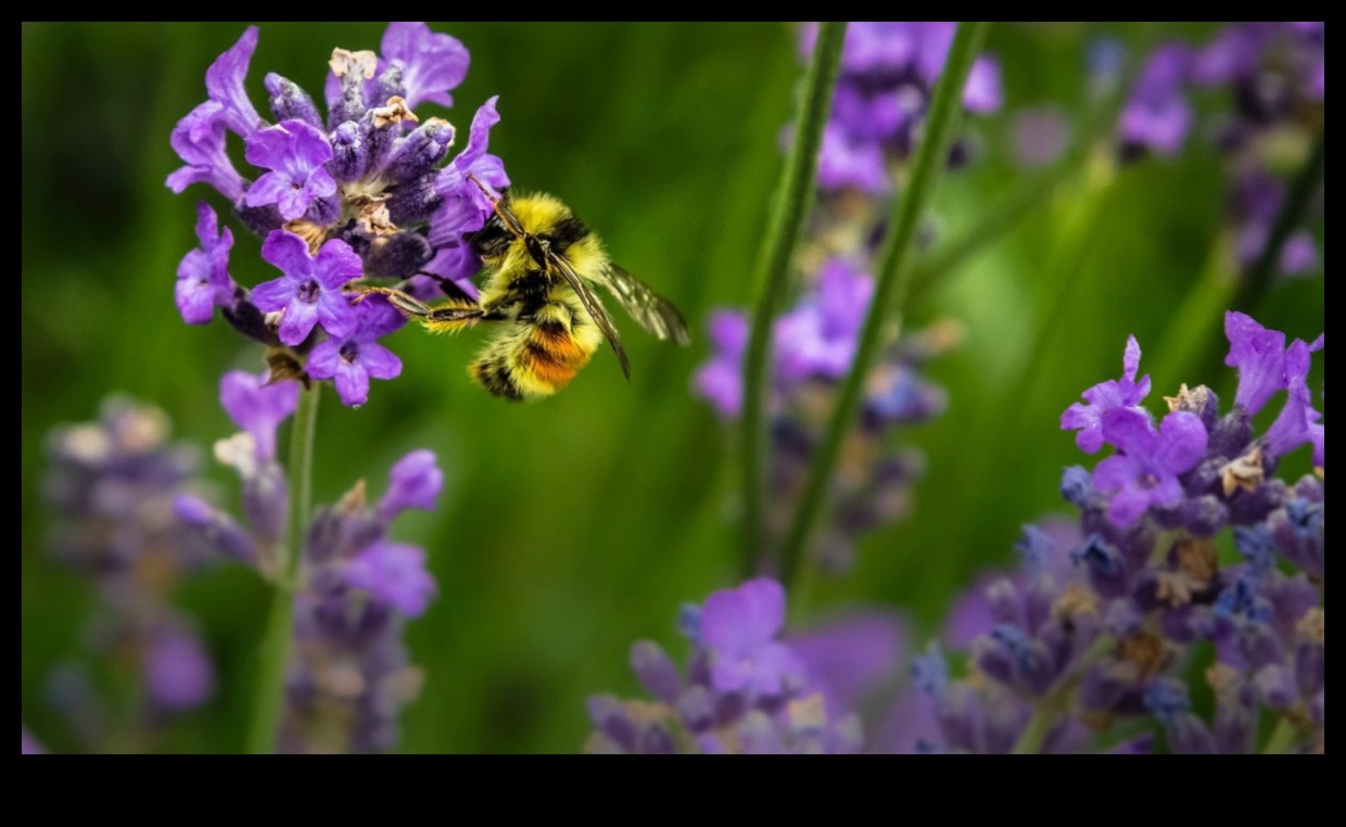 الجنة المقاومة للآفات: استراتيجيات لحديقة مزهرة