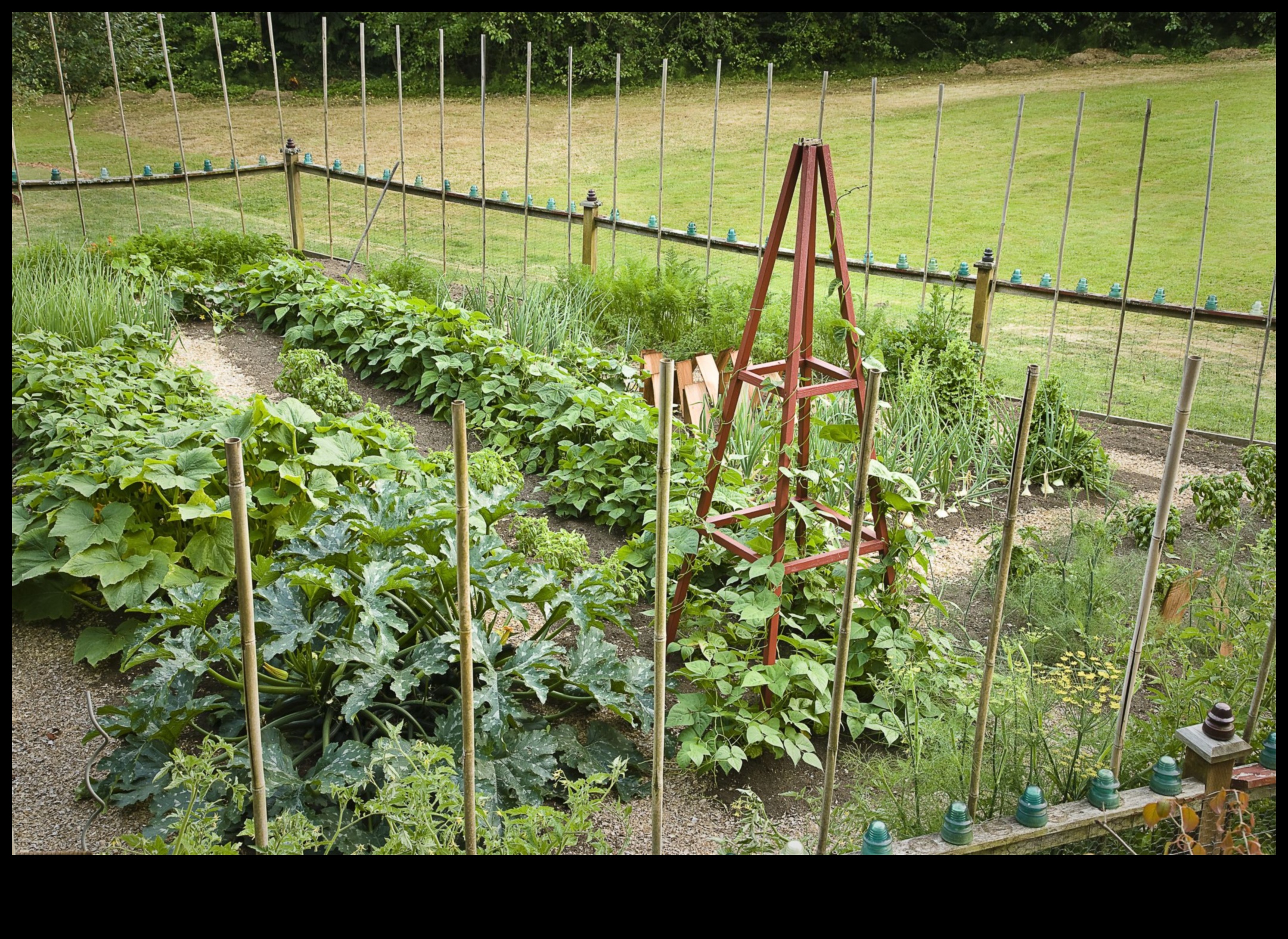 مكافحة المخلوقات: استراتيجيات لحماية حديقتك