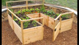 مكافحة المخلوقات: استراتيجيات لحماية حديقتك