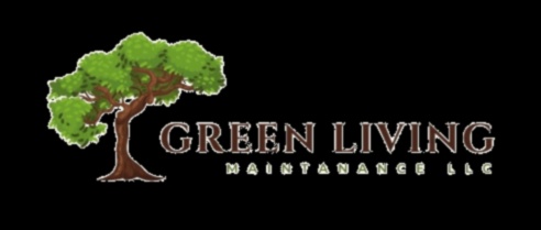 حياة أكثر خضرة: ارفع مساحتك من خلال خبراء صيانة الحدائق