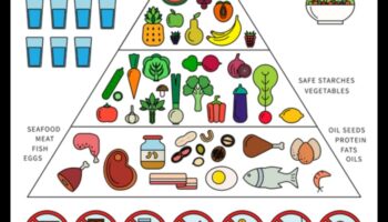 صياغة وجبات صديقة للبيئة لكبار السن: إعطاء الأولوية للتغذية