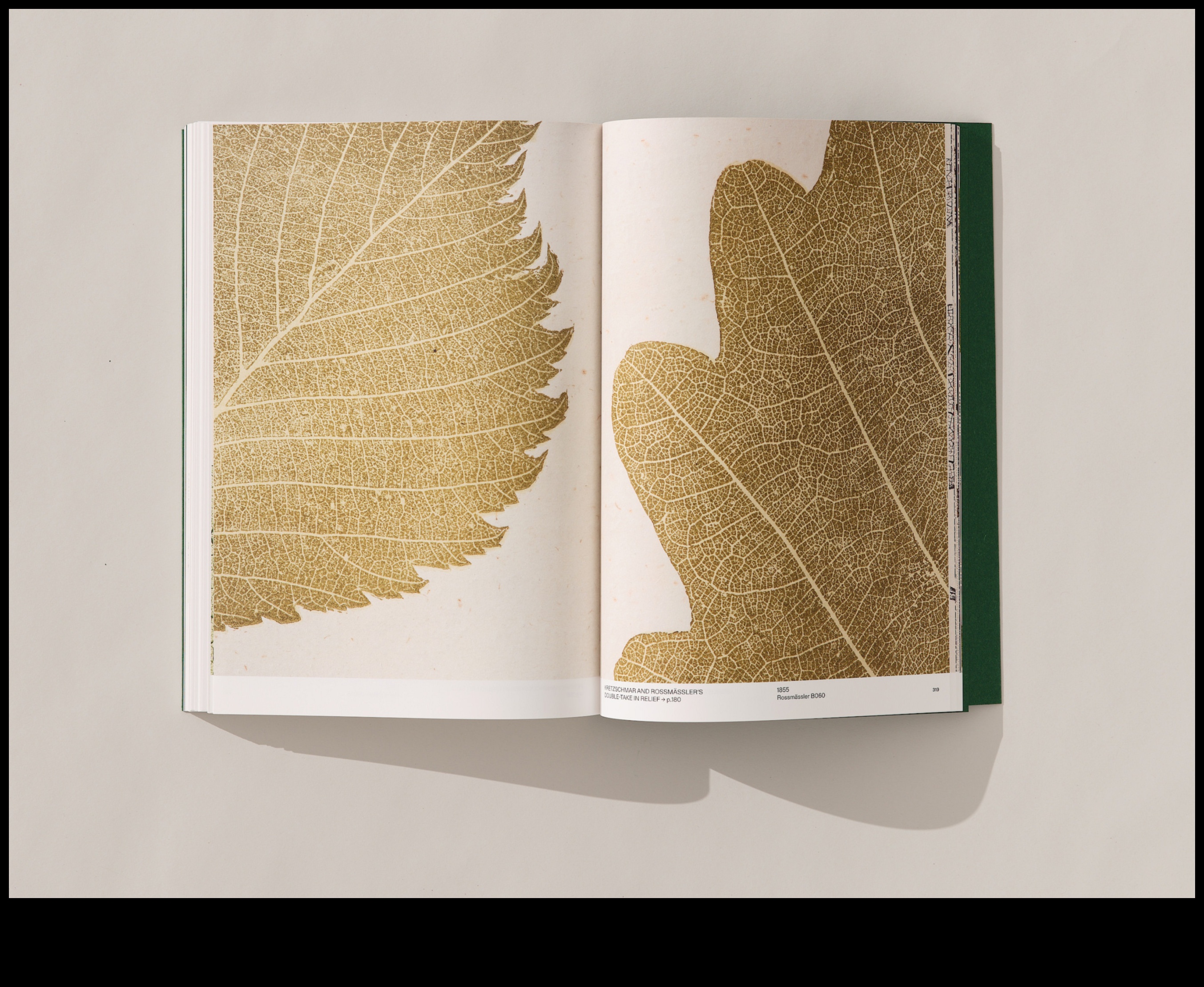 تزهر في البرونز: جمال فن الحديقة النحتية