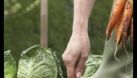 زرع لتنمو: إتقان فن البستنة العضوية