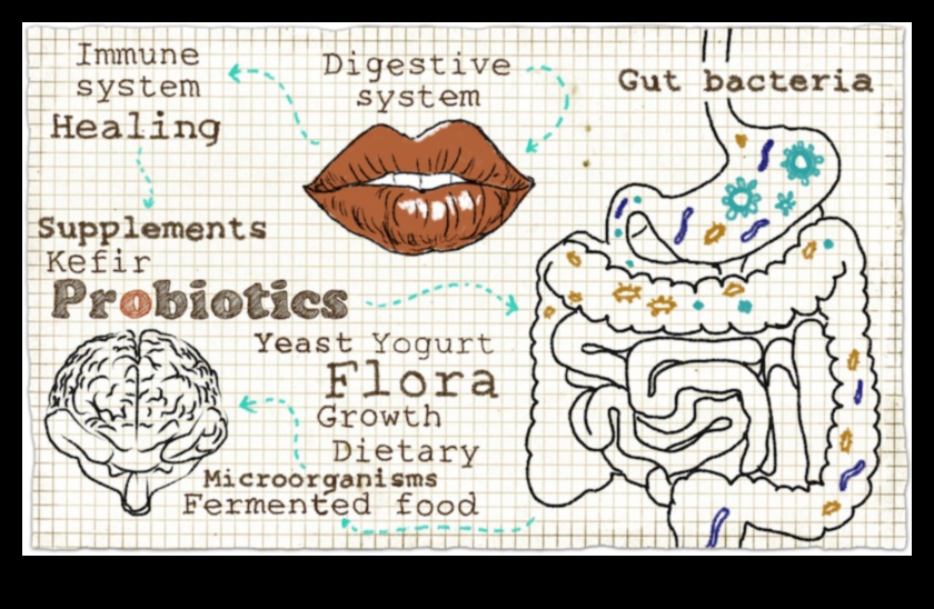 باليو وميكروبيوم الأمعاء: تفاعل ديناميكي