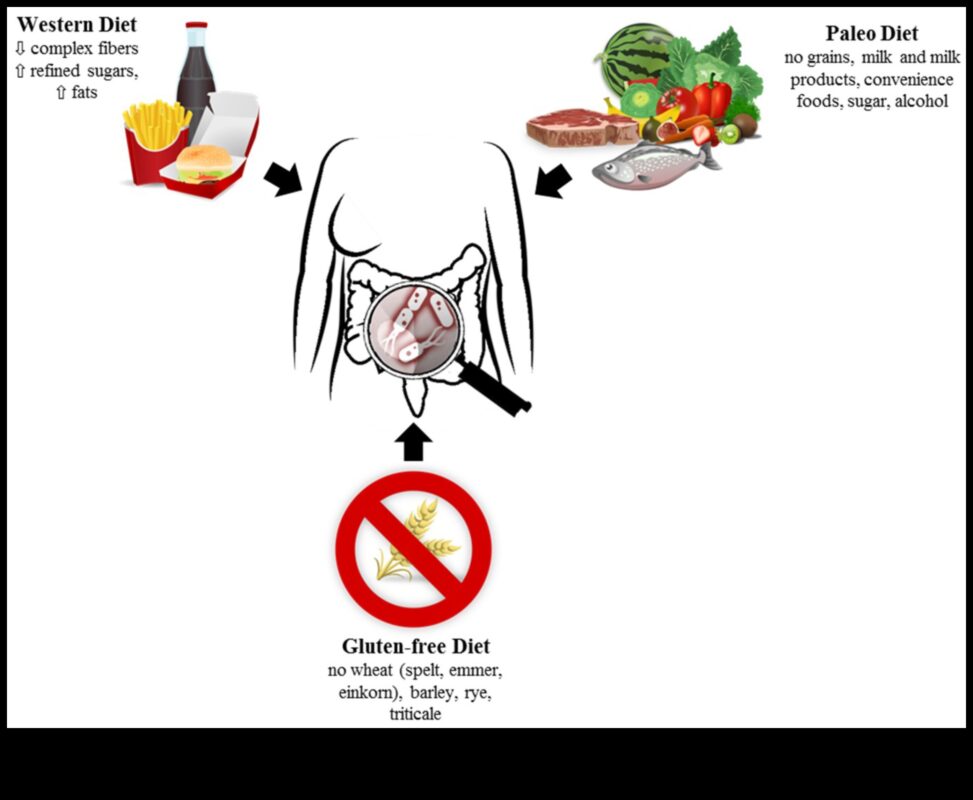 باليو وميكروبيوم الأمعاء: تفاعل ديناميكي