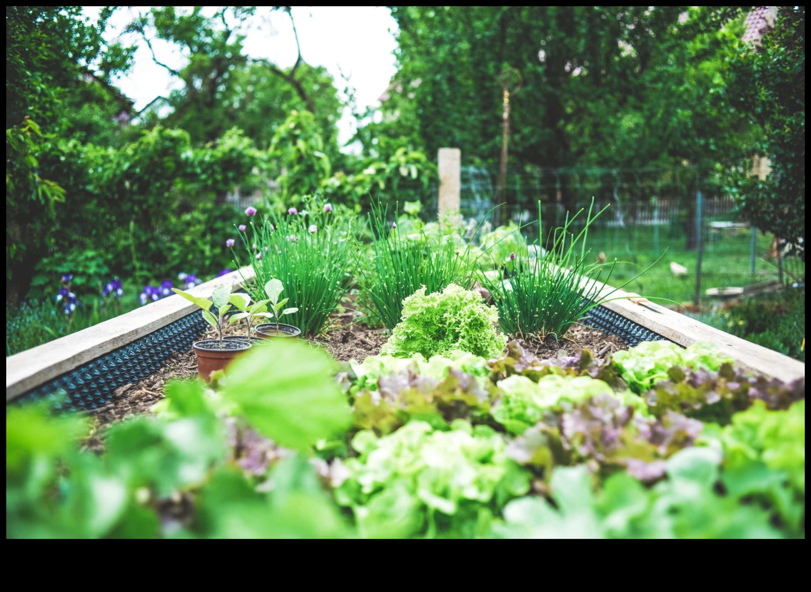 الانسجام المصاحب: صياغة الاقتران المثالي لحديقتك