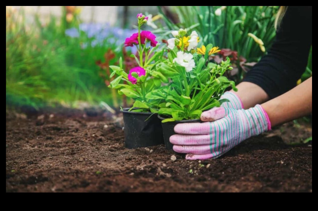 الانسجام المصاحب: صياغة الاقتران المثالي لحديقتك