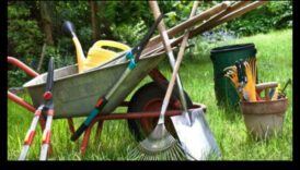 تألق الزهرة: تحديد أدوات الحدائق التي يجب اقتناؤها