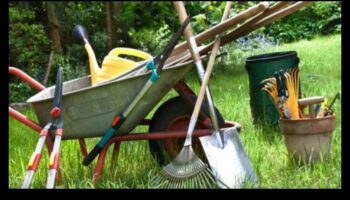 تألق الزهرة: تحديد أدوات الحدائق التي يجب اقتناؤها