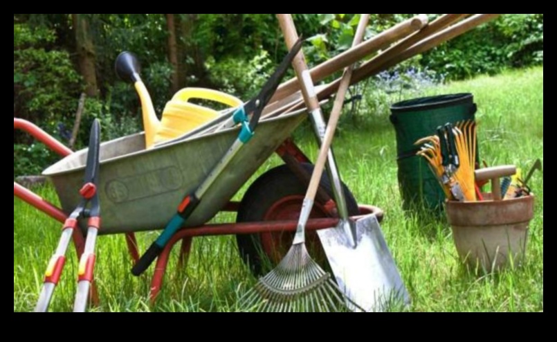 تألق الزهرة: تحديد أدوات الحدائق التي يجب اقتناؤها