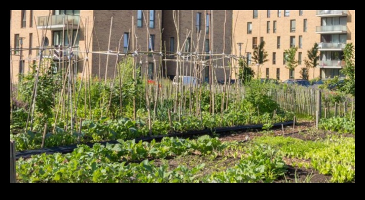 خضرة الغابة الخرسانية: أساسيات البستنة الحضرية