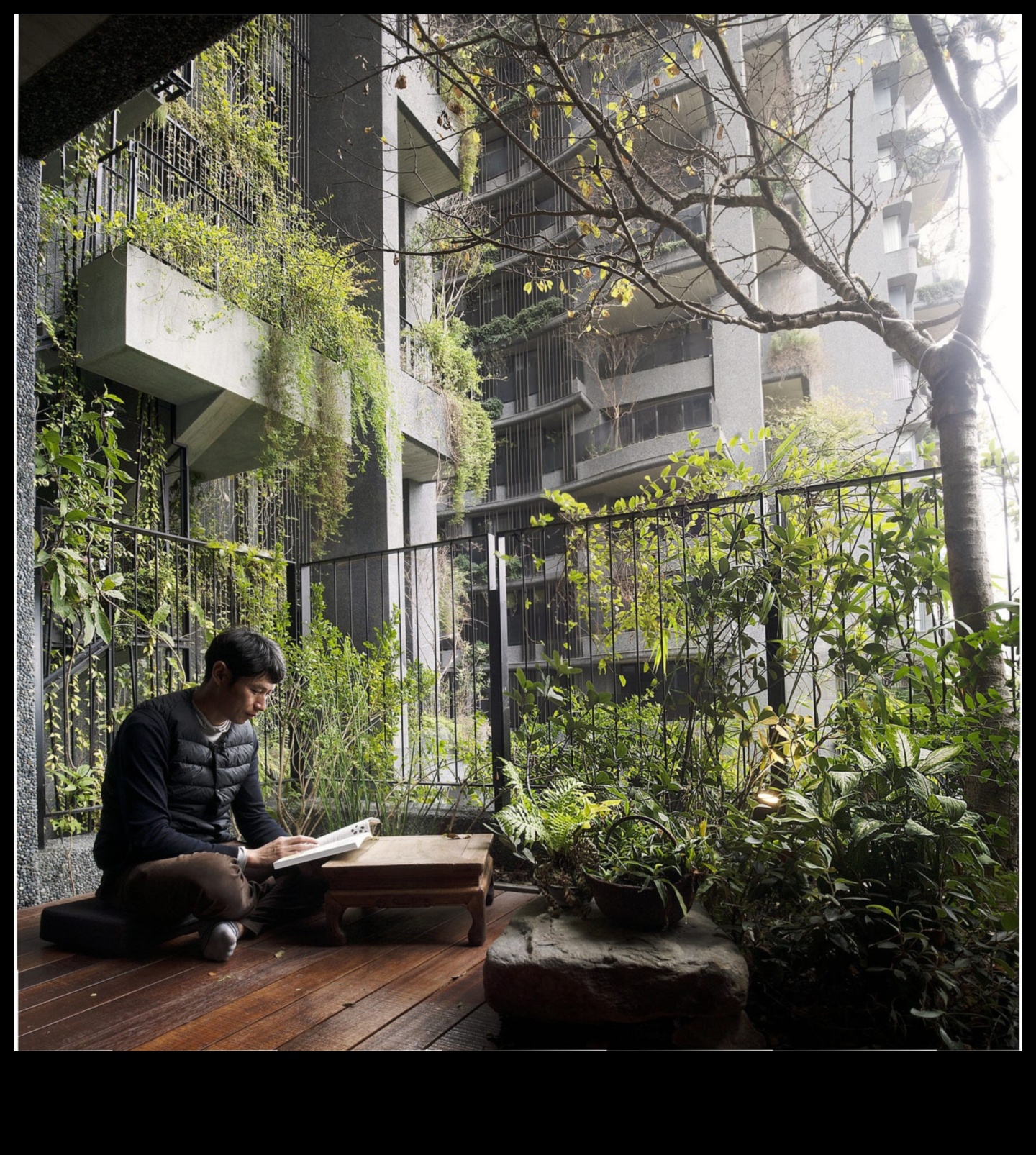 خضرة الغابة الخرسانية: أساسيات البستنة الحضرية