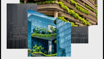 خضرة الغابة الخرسانية: أساسيات البستنة الحضرية