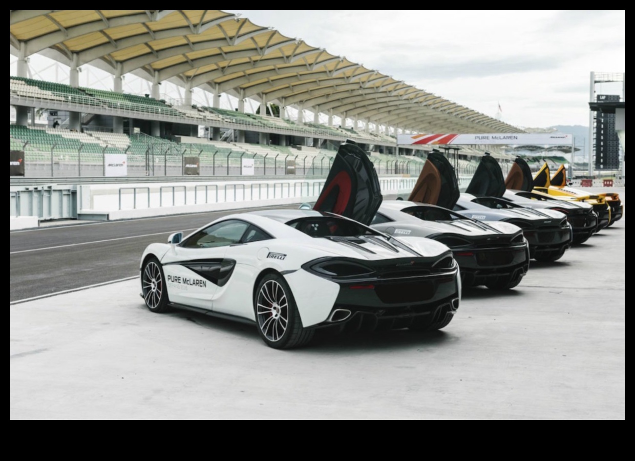 مدفوعة إلى الإثارة: إثارة مغامرات السيارات الرياضية