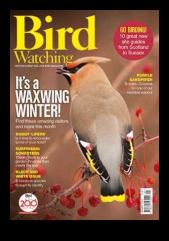 مسابقات الطيور: تحديات ودية لمراقبي الطيور المتعطشين