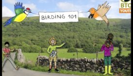 مسابقات الطيور: تحديات ودية لمراقبي الطيور المتعطشين