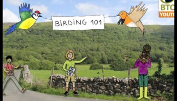 مسابقات الطيور: تحديات ودية لمراقبي الطيور المتعطشين