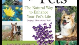 السعادة العشبية: استكشاف العلاجات الطبيعية لأمراض الحيوانات الأليفة