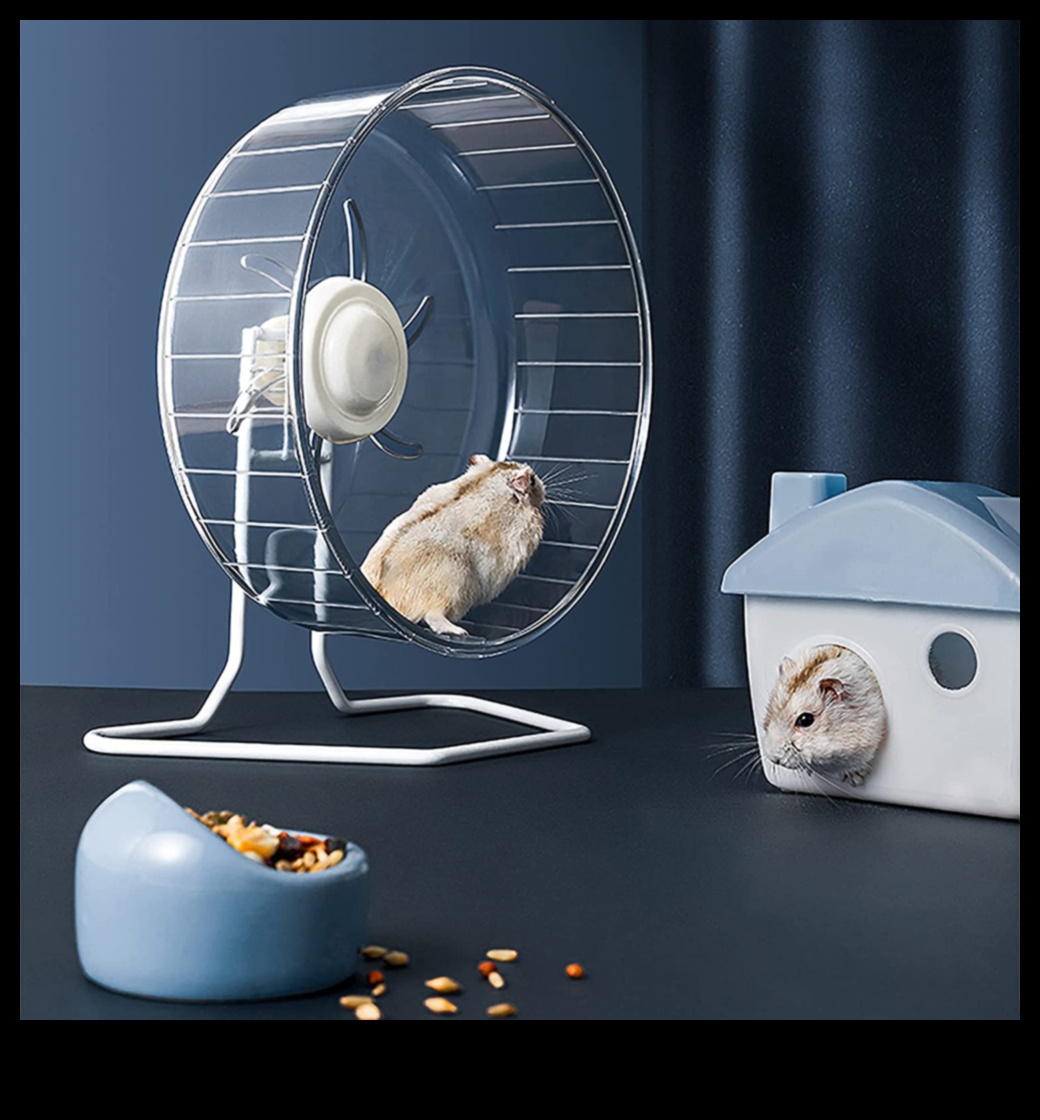 استمرار سلامة عجلة الهامستر: الصيانة الدورية والفحوصات