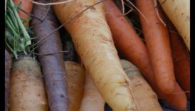 النباتية والأكل اليقظ: تذوق اللحظة