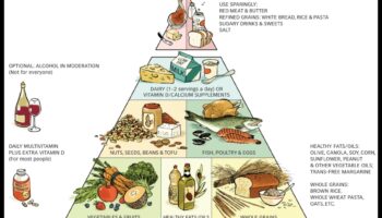 صياغة مستقبل أكثر صحة: قوة النظام الغذائي لنمط الحياة