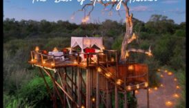 الراحة اللانهائية: دليل للإقامات المثالية