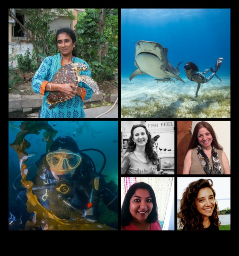 محاربو الحفاظ على المحيطات: أفراد يصنعون فرقًا من أجل الأسماك