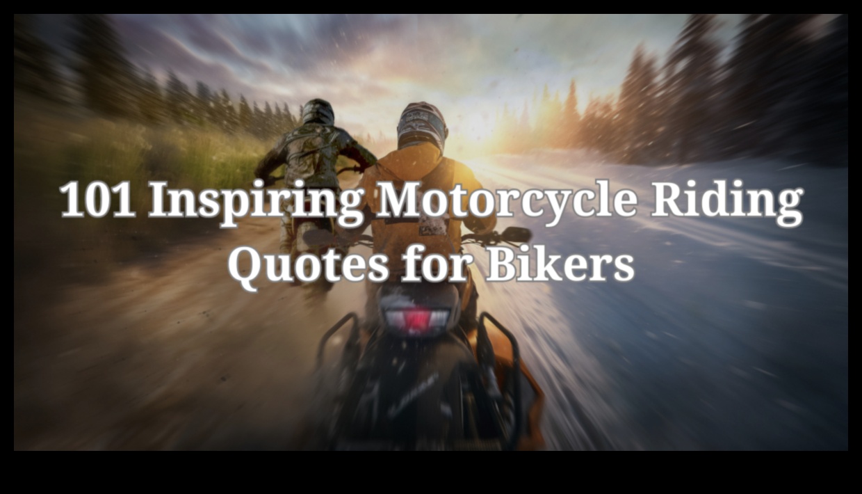 السرعة والصفاء: الطبيعة المزدوجة للدراجات النارية السياحية