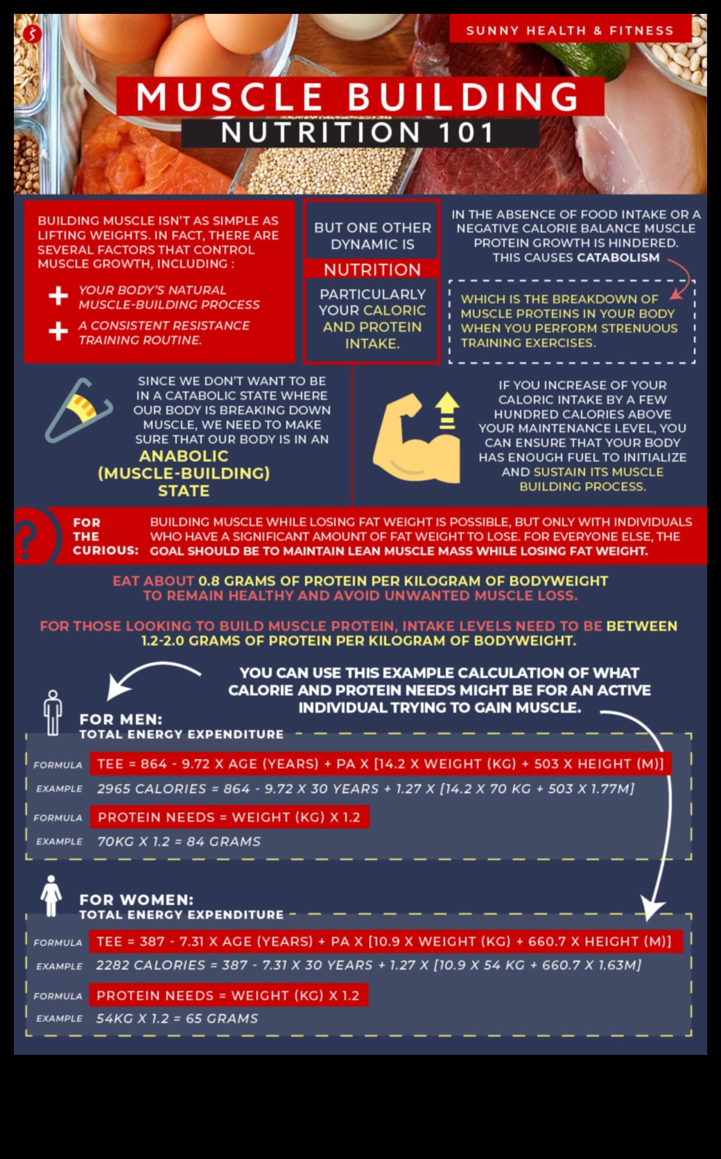 الأنظمة الغذائية الغنية بالبروتين وبناء العضلات: نهج تآزري