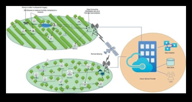 التجوال الريفي: الهجينة كأدوات أساسية في الزراعة والزراعة