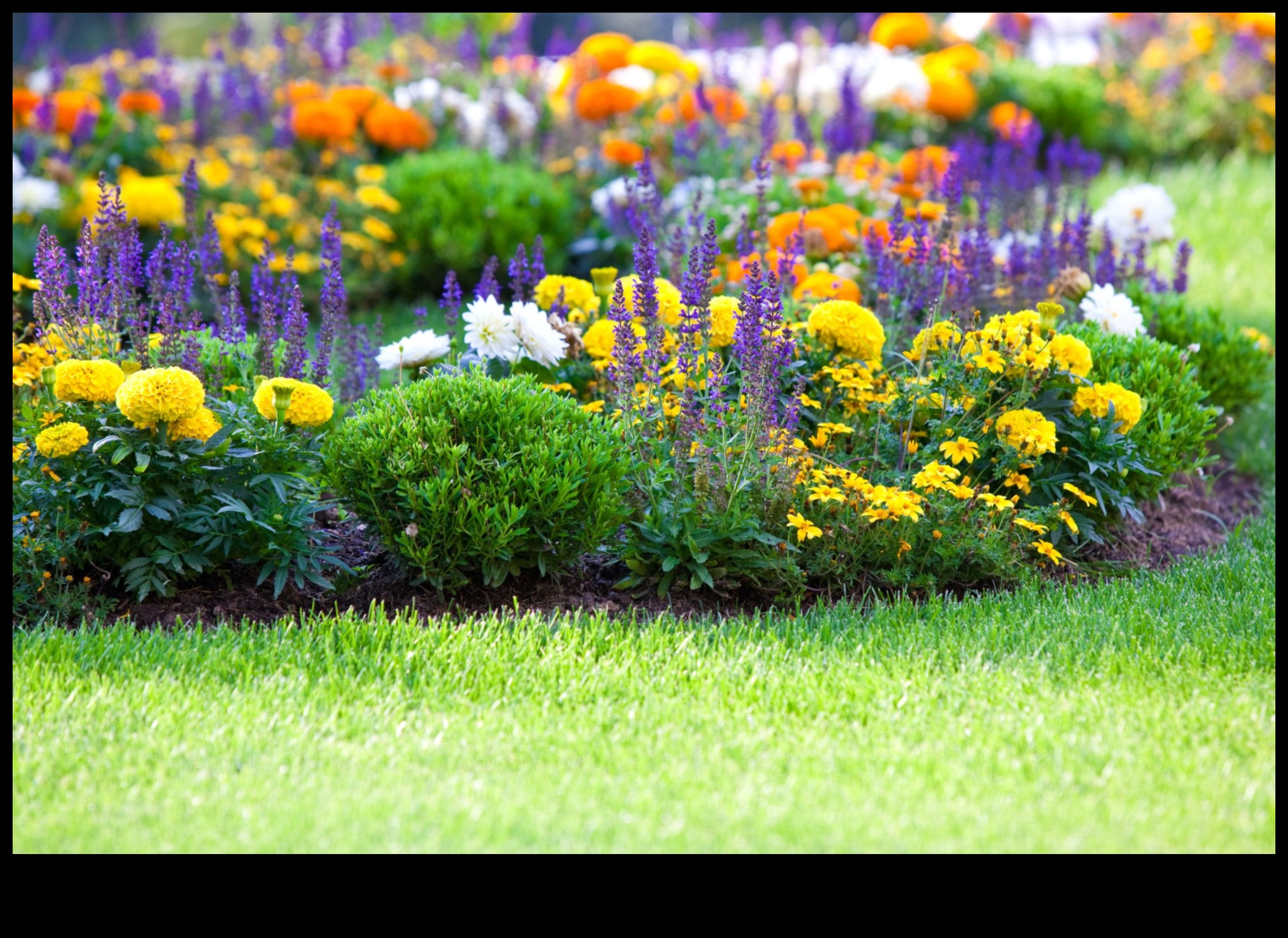 الجنة المقاومة للآفات: استراتيجيات لحديقة مزهرة