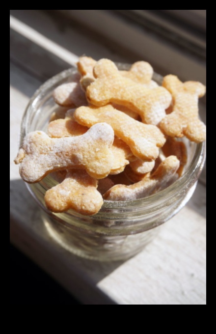 مطبخ كيتي: وصفات علاج القطط محلية الصنع